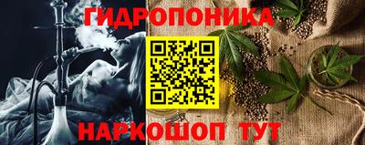 шишки Гатчина