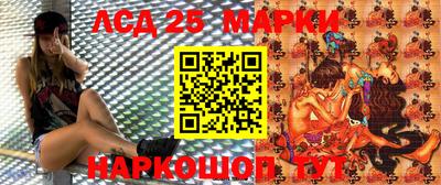 шишки Гатчина