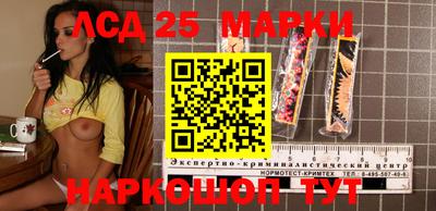 шишки Гатчина