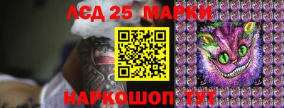 шишки Гатчина
