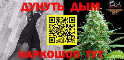 шишки Гатчина
