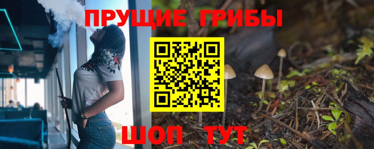 Галлюциногенные грибы MAGIC MUSHROOMS  Вход с VPN  Глазов 